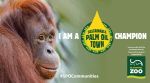 Trevors Foodservice Palm Oil Town sustainable champion 