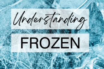 Frozen Meat