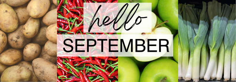 Whats in Season September?